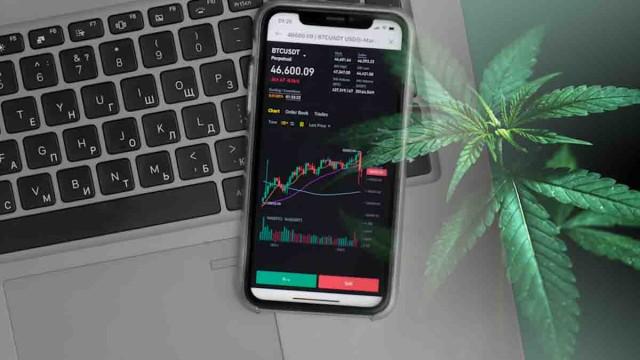 Top US Marijuana Stocks to Watch in October: Industry Leaders and Market Movers