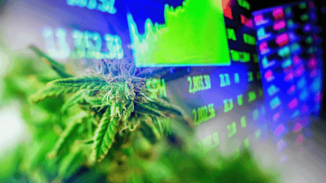 Top Marijuana Stocks In The Stock Market Today