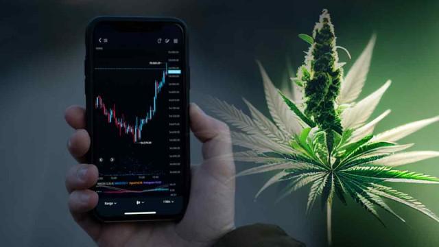 Top Marijuana Stocks To Watch Before October