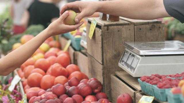 Dollar Tree: Finding Value In Dollar Store Dumpsters